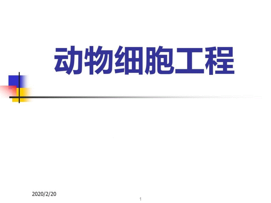 动物细胞工程全套ppt课件_第1页