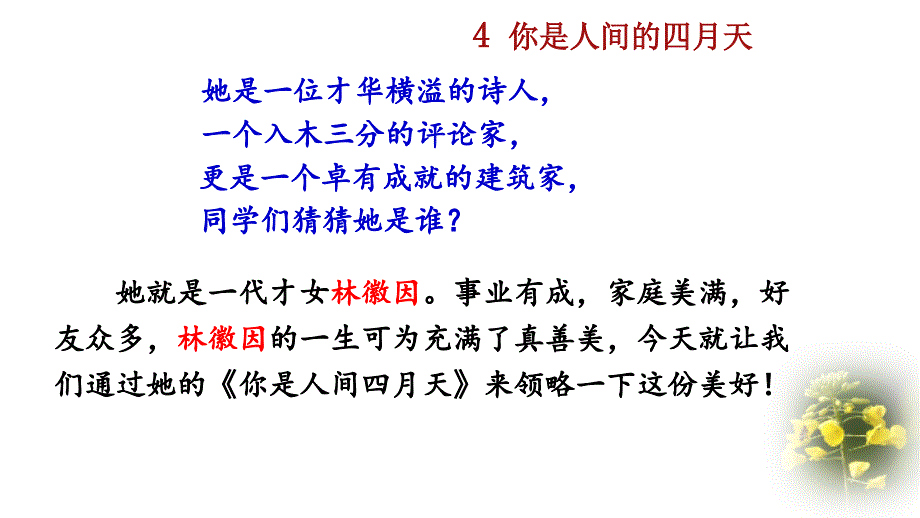 【新教材】部编版九年级语文上册《你是人间的四月天》课件_第1页