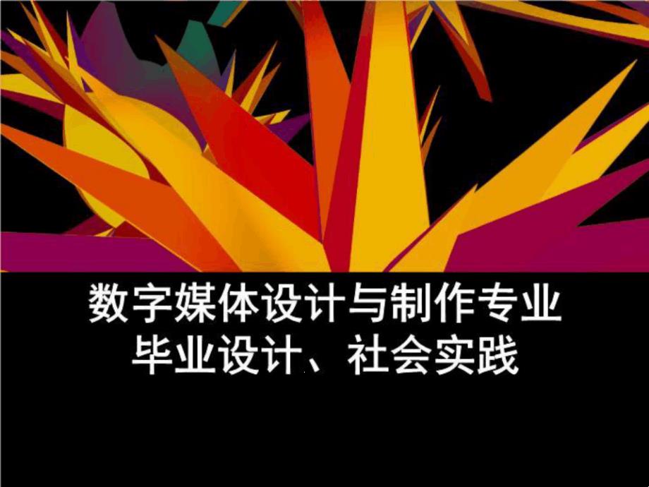 11春毕业设计社会实践课件_第1页