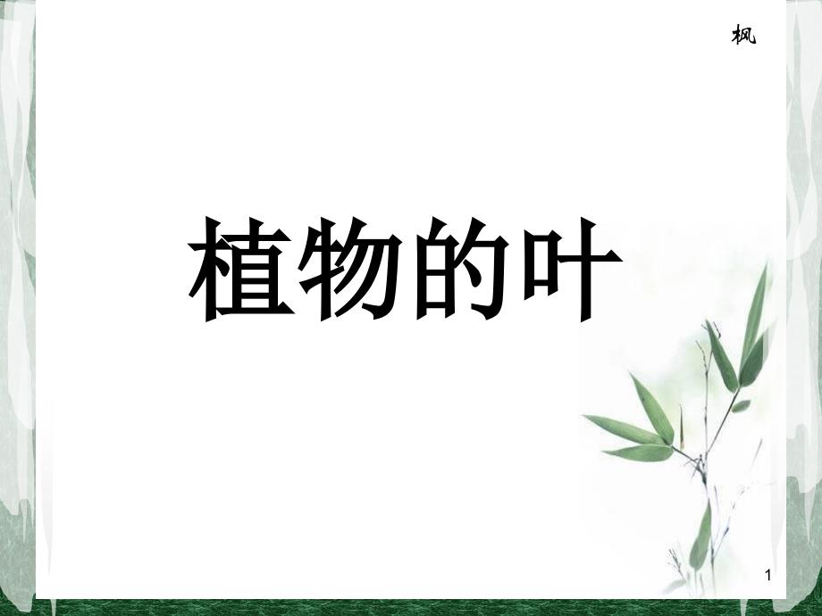 《植物的叶》教学ppt课件_第1页