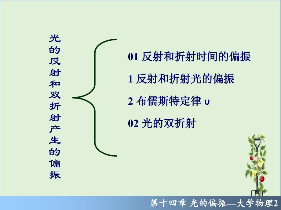 14-03-光的反射和双折射产生的偏振._第1页