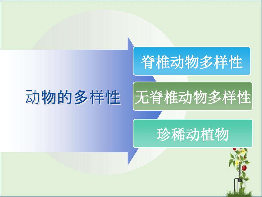 11.动物的多样性汇总_第1页