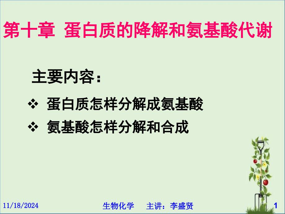 11(东方)第十章-蛋白质的降解和氨基酸代谢总结_第1页