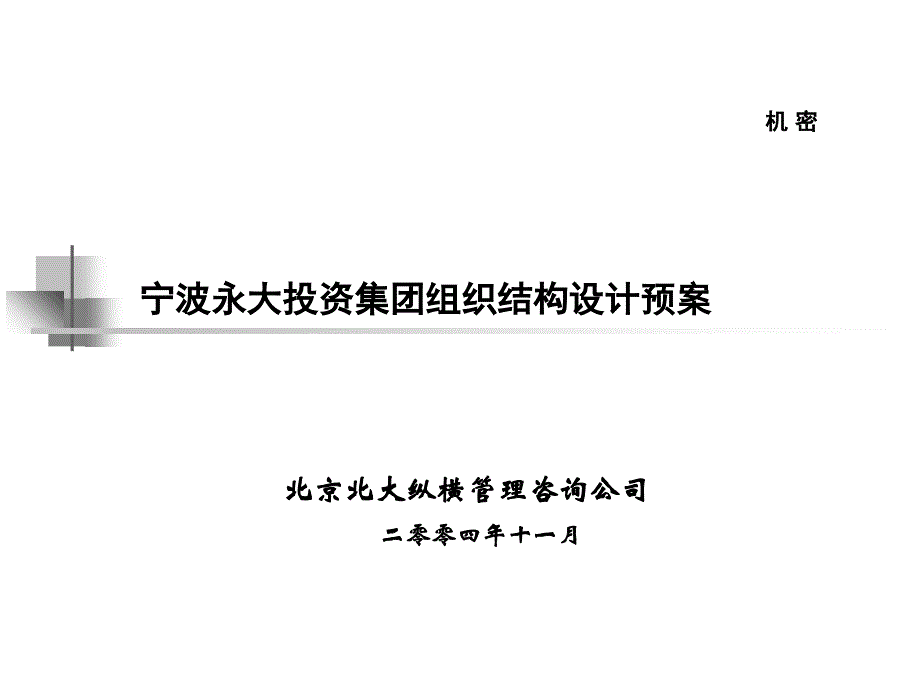 宁波永大投资集团组织结构设计预案_第1页