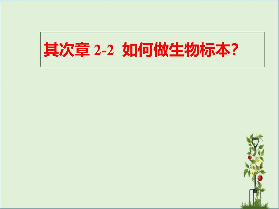 2-2如何做生物标本讲解_第1页