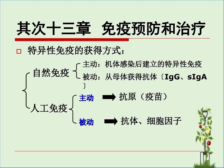 18第二十三章免疫预防与治疗_第1页