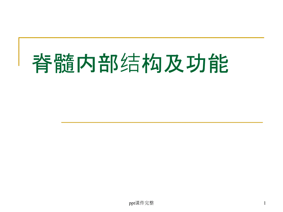 脊髓内部结构及功能课件_第1页