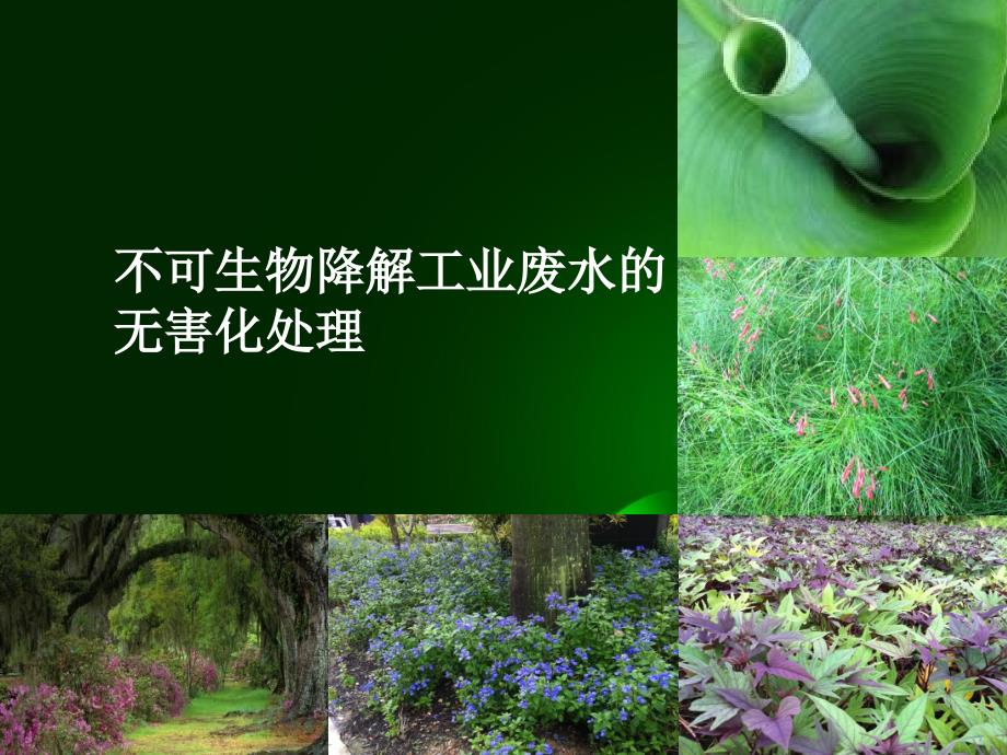 杭州-不可生物降解的工业废水的无害化课件_第1页