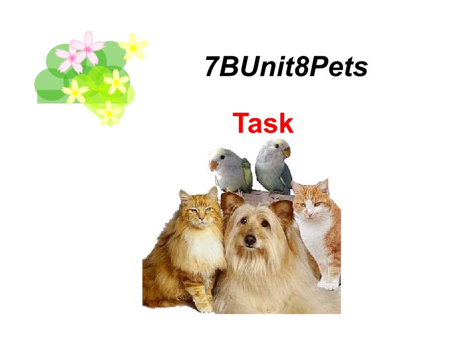 牛津译林版七年级下册英语ppt课件：7BUnit8task_第1页