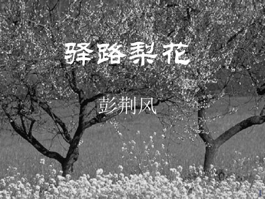 第9课-驿路梨花-ppt课件-北京课改版七上_第1页