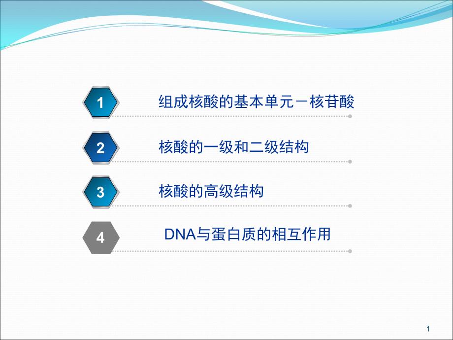 DNA的结构与功能_第1页