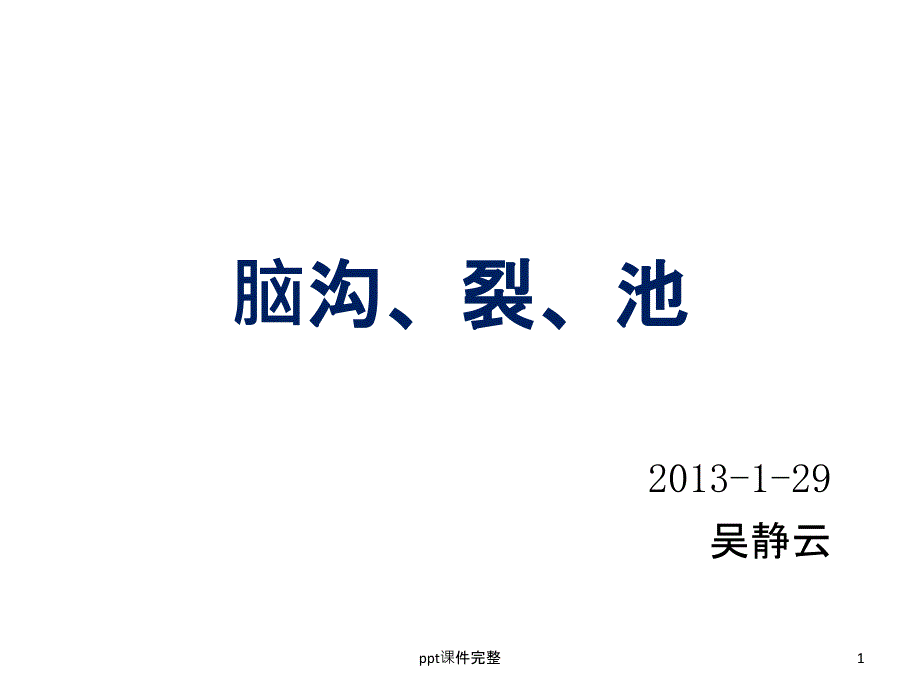 脑沟、裂、池课件_第1页