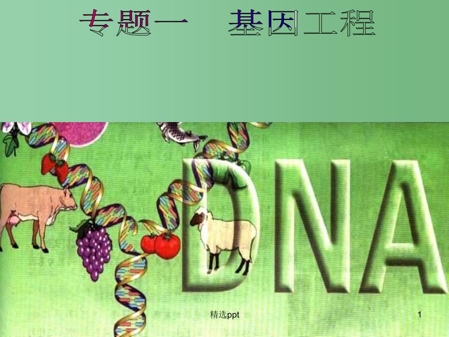 高考生物专题复习-DNA基本工具重组技术的ppt课件_第1页