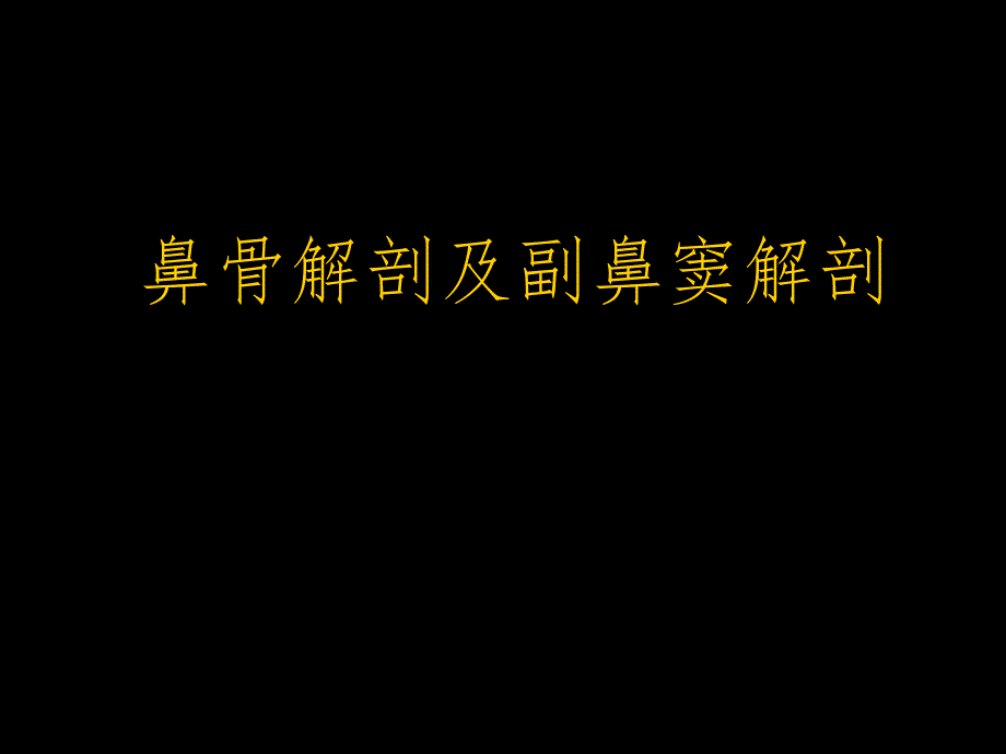 鼻骨与副鼻窦解剖课件_第1页