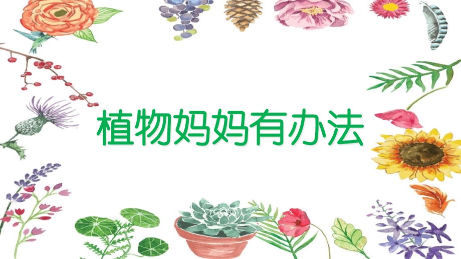 部编版小学二年级上册语文《植物妈妈有办法》教学ppt课件_第1页