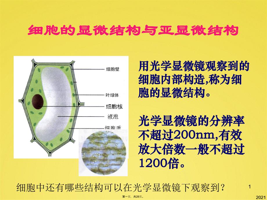 细胞的显微结构与亚显微结构课件_第1页