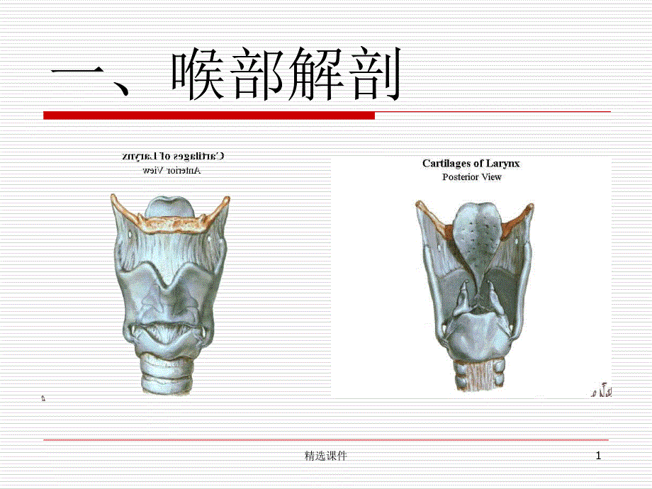 气管插管教学课件_第1页