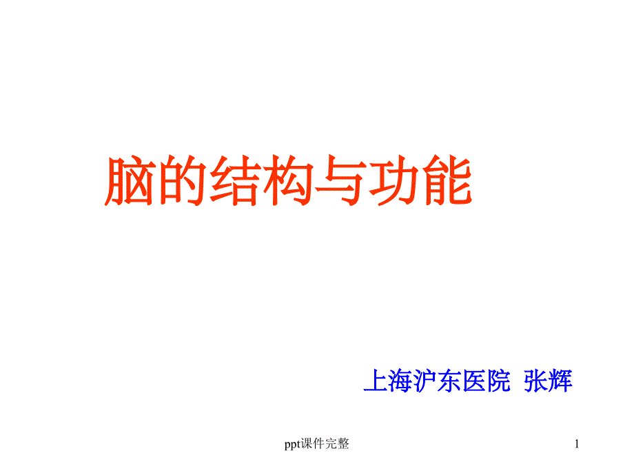 脑结构与功能课件_第1页