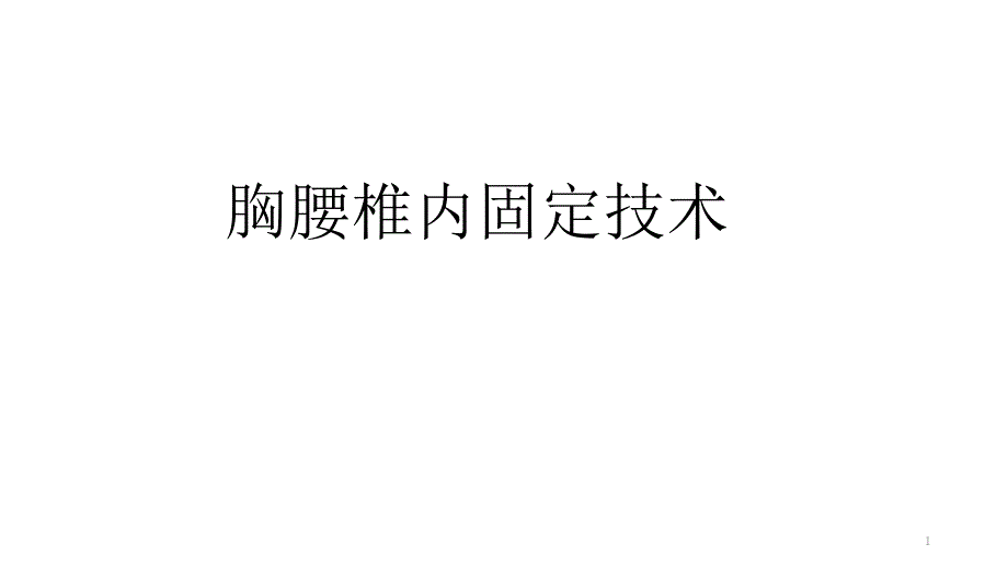 胸腰椎内固定技术课件_第1页