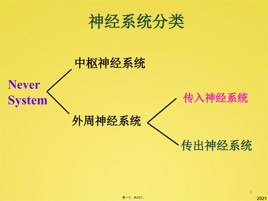 神经系统分类课件_第1页