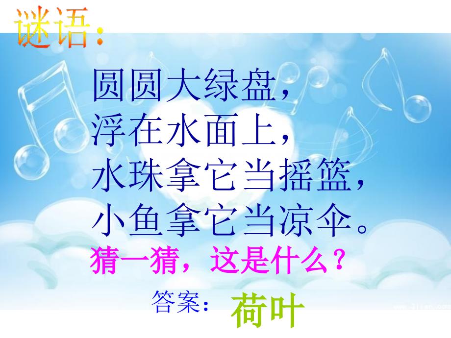 部编版语文一年级下册：13：《荷叶圆圆》课件_第1页