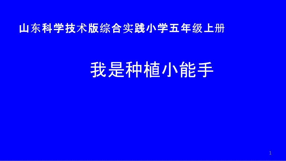 综合实践活动课《我是种植小能手》优质ppt课件_第1页