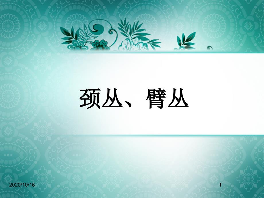 颈丛、臂丛教学ppt课件_第1页