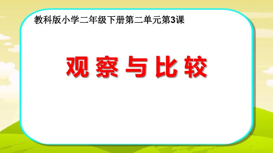 教科版二年级下册科学《观察与比较》教学ppt课件_第1页