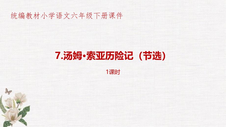 部编人教版统编教材小学语文六年级下册第2单元《汤姆&amp#183;索亚历险记(节选)》课件_第1页