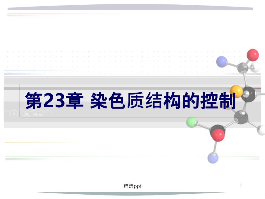 染色质结构课件_第1页