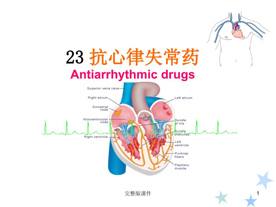 抗心律失常药-课件_第1页