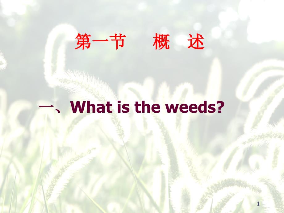 除草剂分类和使用方法课件_第1页