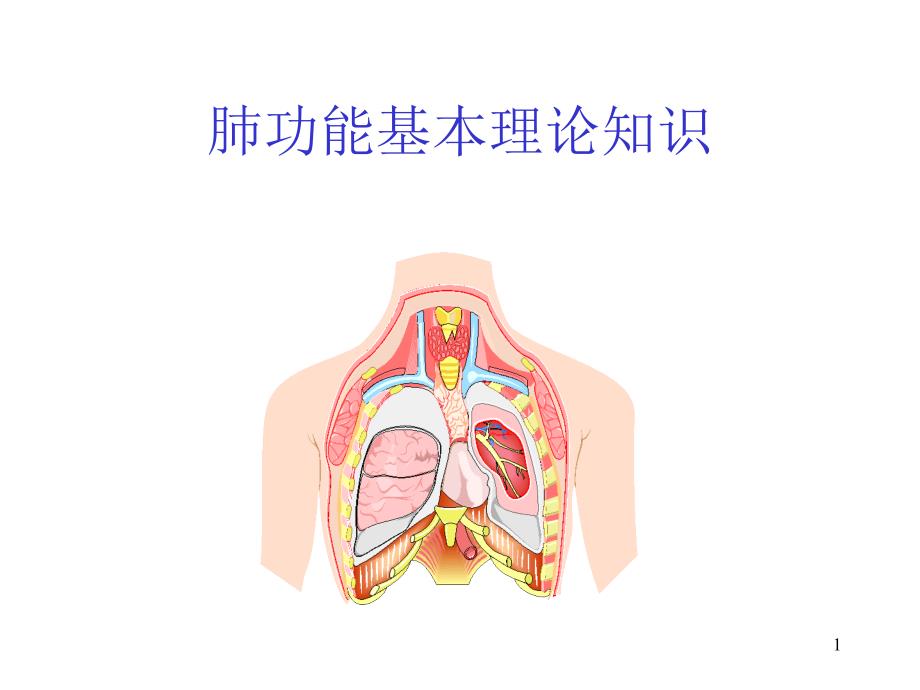 肺功能基础理论知识课件_第1页