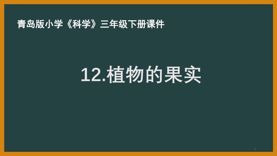 青岛版三年级科学下册第四单元《植物的果实》课件_第1页