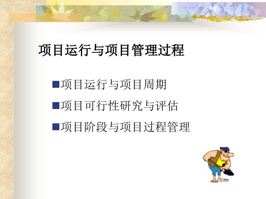 项目管理运行过程课件_第1页