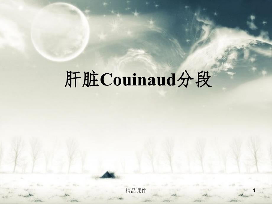 肝脏Couinaud分段课件_第1页