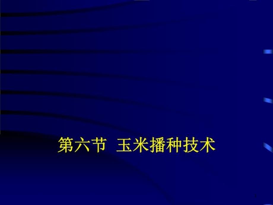 玉米播种技术-ppt课件_第1页