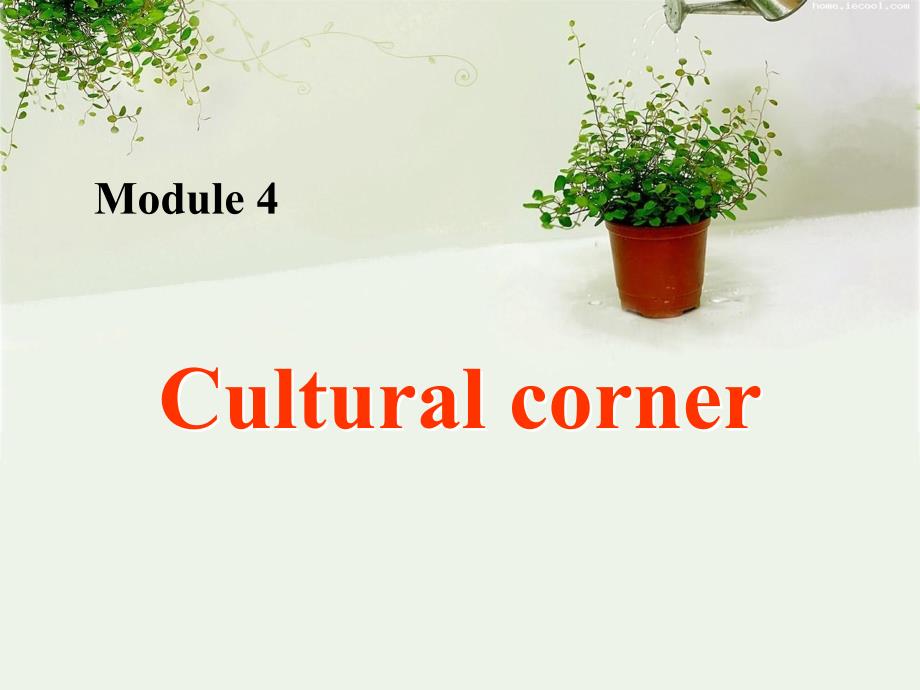 外研版必修一module4Cultural-corner-课件_第1页