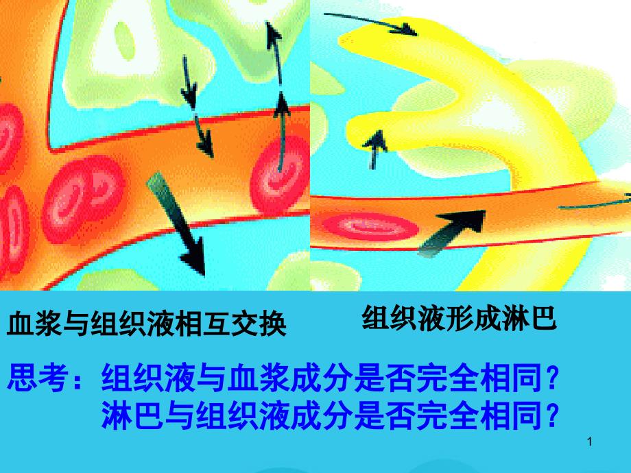 细胞外液成分和理化性质(实用资料)课件_第1页