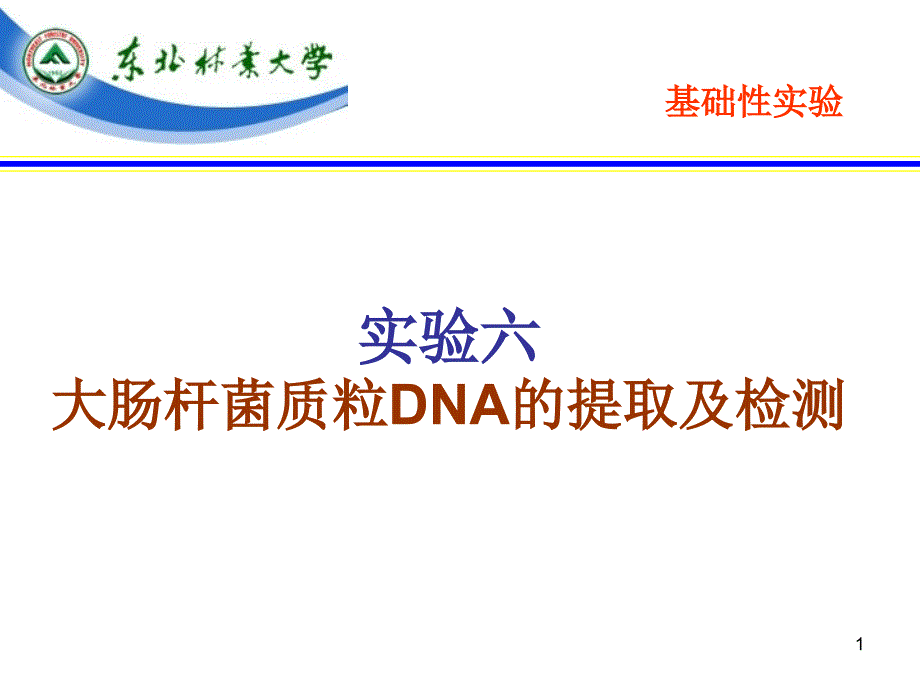 实验六、大肠杆菌质粒DNA的提取与电泳检测课件_第1页