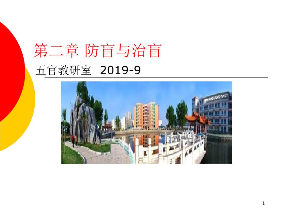 医学ppt--第二章：防盲治盲课件_第1页