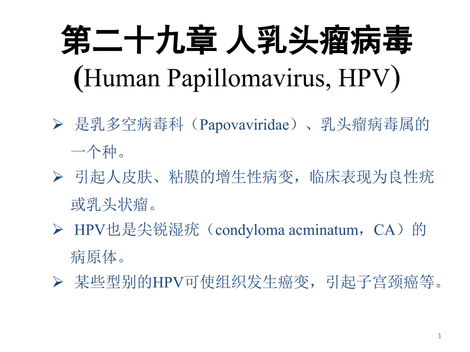 二十九章人乳头瘤病毒HumanPapillomavirusHPV课件_第1页