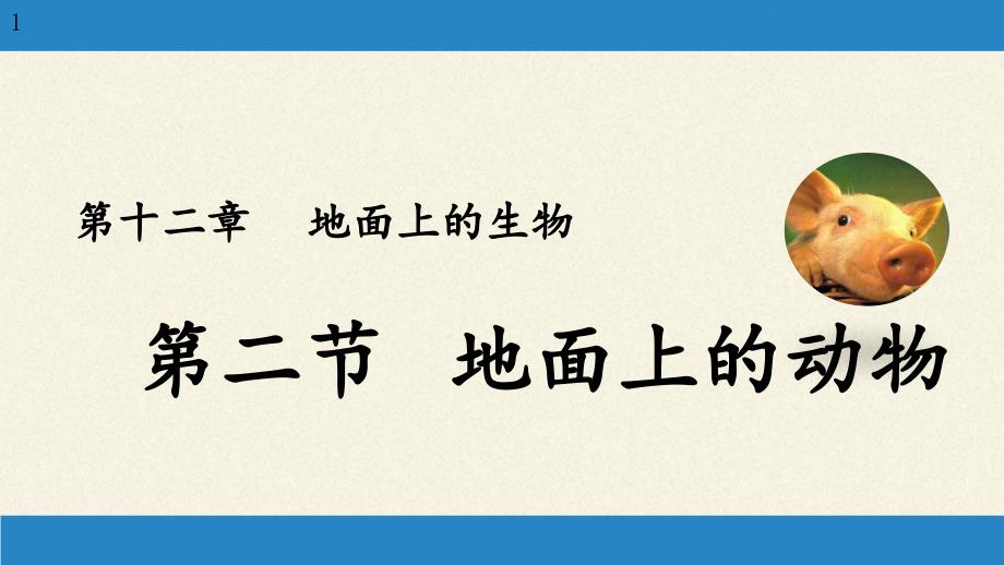 七年级生物下册ppt课件-5.11.2-地面上的动物7-苏科版_第1页