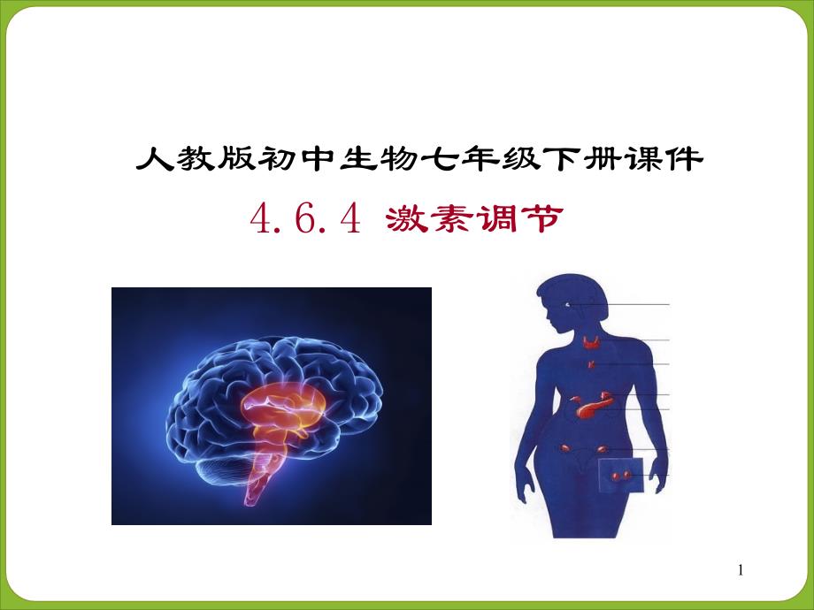 人教版生物七下激素调节课件_第1页