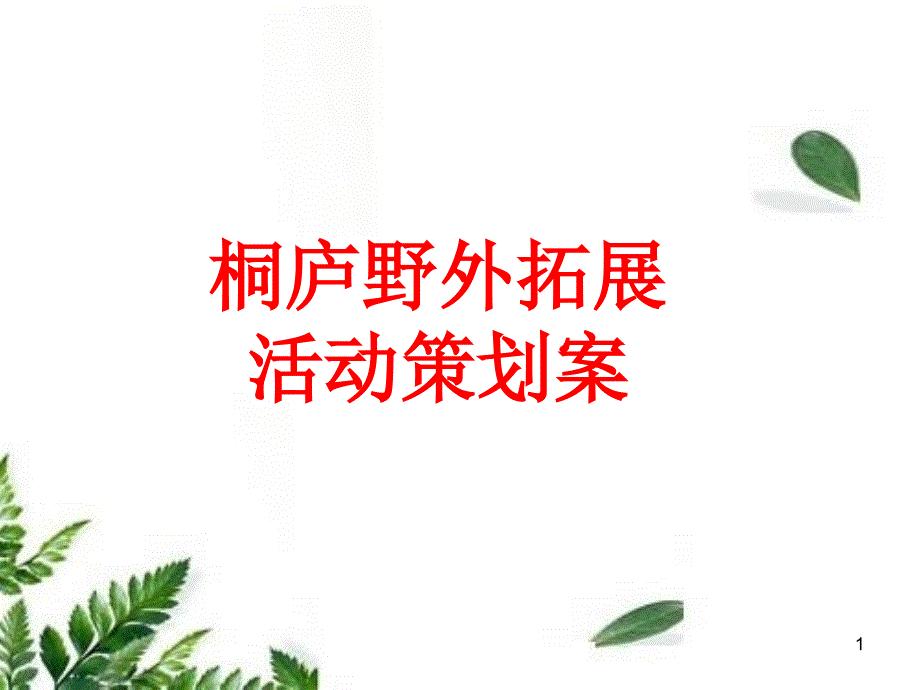 夏季野外拓展项目——刺激、惊险、神秘、挑战课件_第1页