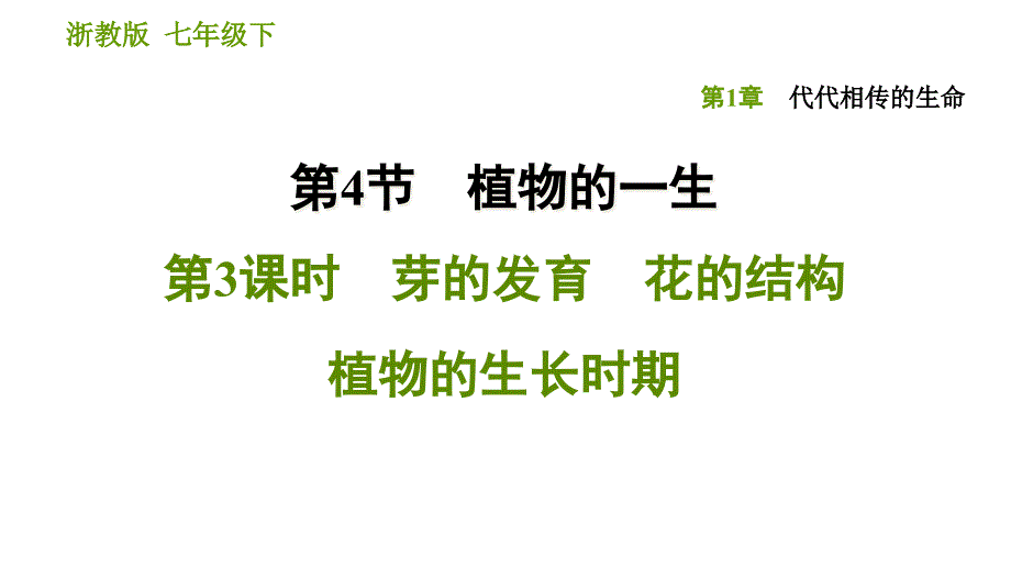 浙教版七年级下册科学ppt课件1.4.3-芽的发育-花的结构-植物的生长时期_第1页