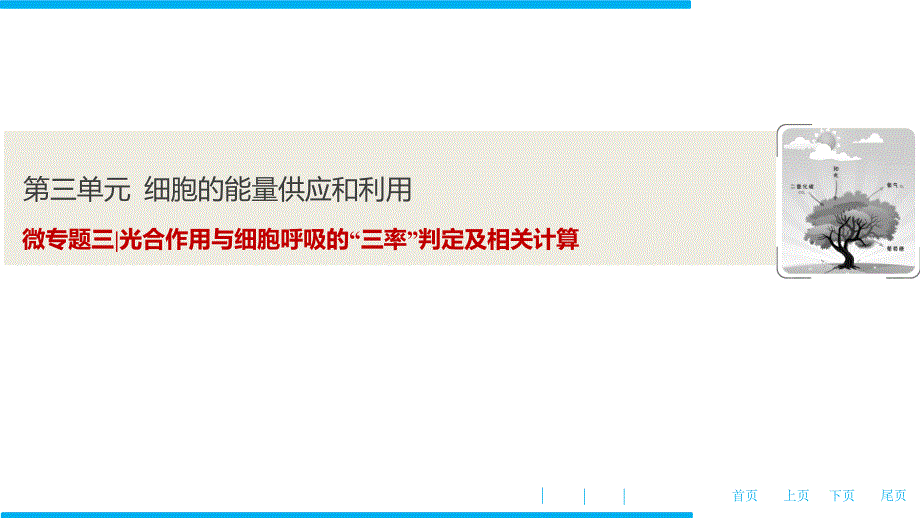 第三单元微专题三光合作用与细胞呼吸的三率判定及相关计算课件_第1页