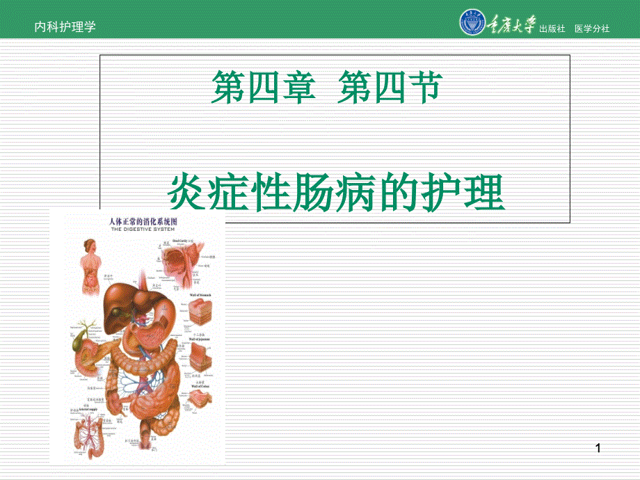 内科护理学第四章第四节炎症性肠病的护理课件_第1页