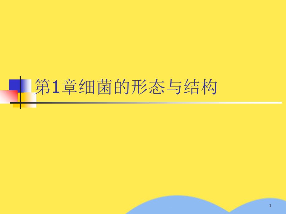 第1章细菌的形态与结构课件_第1页