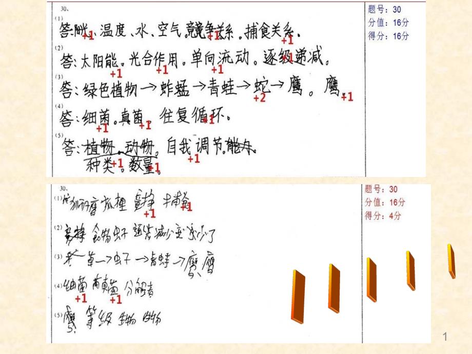 初中生物《期中生物试卷讲评》教学ppt课件设计_第1页